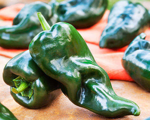Poblano & Cheese