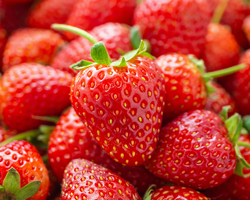 The Strawberry & Jam